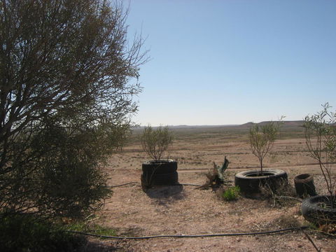 Venushill B+B - Hotel WA 32