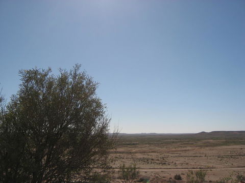 Venushill B+B - Hotel WA 34