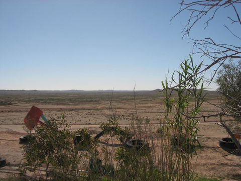 Venushill B+B - Hotel WA 35