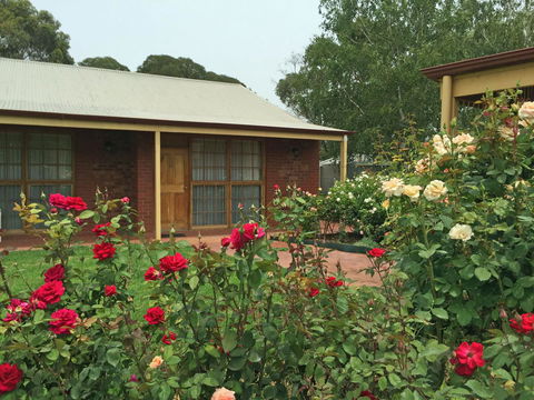 Coonawarra Place Motor Inn - Hotel WA 24