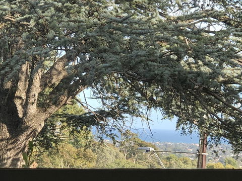 Stunning House With Beautiful Entertainment Area!! - Hotel WA 8