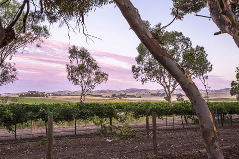 Jasmine\'s Barossa Valley Cottage - Hotel WA 19