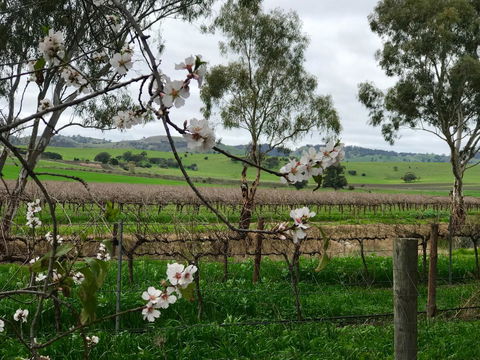 Jasmine\'s Barossa Valley Cottage - Hotel WA 20