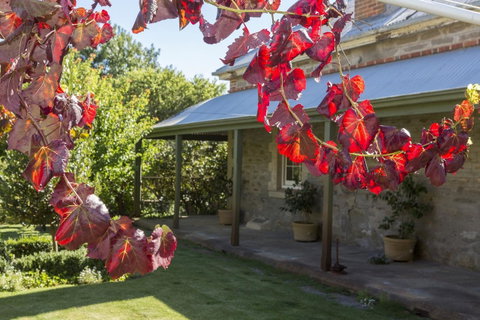 Grand Cru Estate Homestead - Hotel WA 1