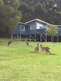 Book Denmark Accommodation Vacations Hotel WA Hotel WA