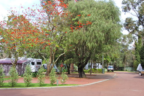 Margaret River Tourist Park - Hotel WA 43