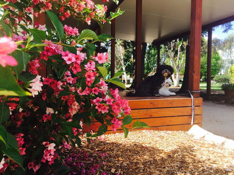 Armidale Tourist Park - Hotel WA 34