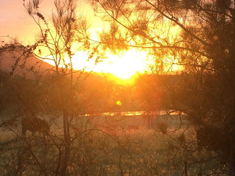 Grapevines Boutique Accommodation - Hotel WA 27