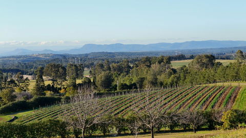 Grapevines Boutique Accommodation - Hotel WA 21