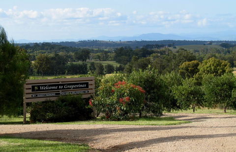 Grapevines Boutique Accommodation - Hotel WA 15