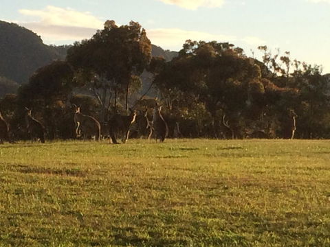 Grapevines Boutique Accommodation - Hotel WA 26