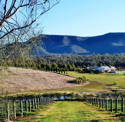 Grapevines Boutique Accommodation - Hotel WA 5