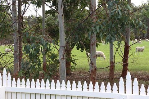Sapphire Chalets, Augusta - Hotel WA 9