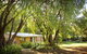 Peppermint Brook Cottages - thumb 0
