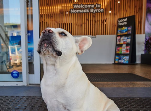 Nomads Byron Bay Backpackers - Hotel WA 22