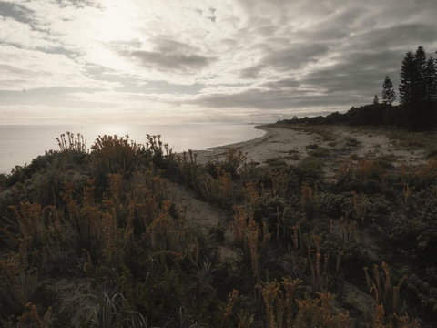 FortyOne - Oceanside Retreat Busselton - Hotel WA 7