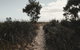 FortyOne - Oceanside Retreat Busselton - thumb 8