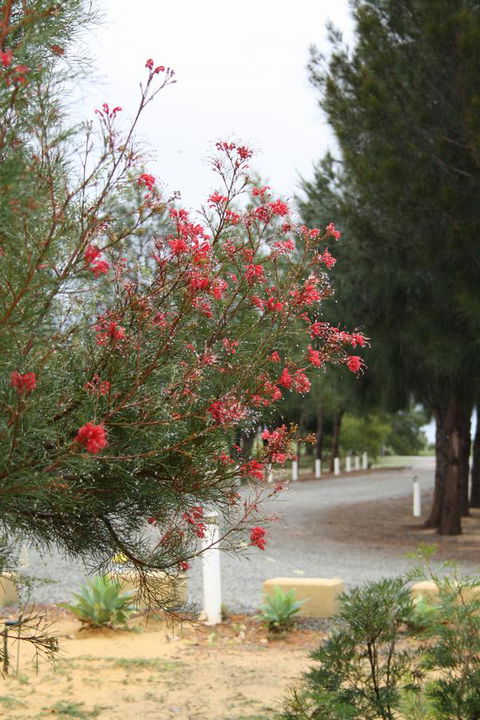 The Heights Bed & Breakfast - Hotel WA 0
