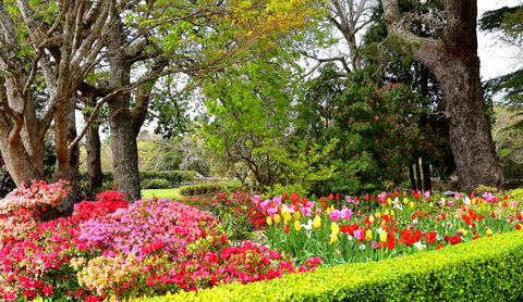 Nesuto Leura Gardens (formerly Waldorf Leura Gardens Resort) - Hotel WA 8