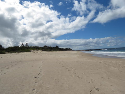 Sweet Spot Shellharbour - Hotel WA 15