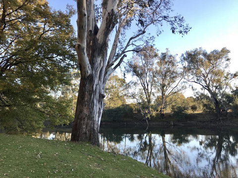 The Botanical 201 - Hotel WA 18