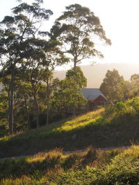 Book Bawley Point Accommodation Vacations Hotel WA Hotel WA