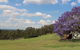 Wine Country Villas - thumb 34