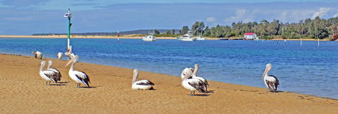 Pelican Motor Inn - Hotel WA 29