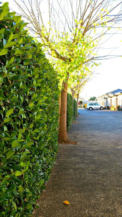 Best Western Plus Goulburn - Hotel WA 37