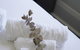 Rosehill Hotel - thumb 29