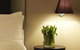 Kirketon Hotel Sydney - thumb 19