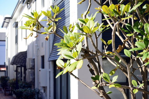 Avoca Randwick By Sydney Lodges - Hotel WA 34