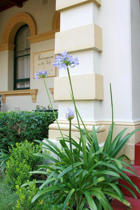 Avonmore On The Park Boutique Hotel - Hotel WA 15