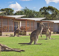 Discovery Parks  Pambula Beach - Hotel WA