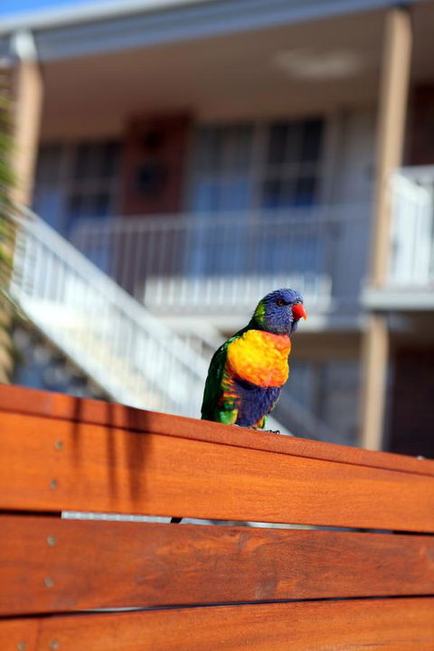 Summerhill Motor Inn - Hotel WA 30