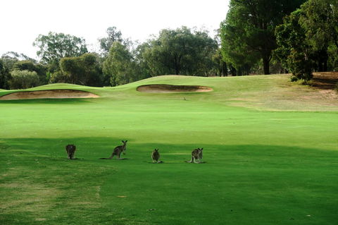 Mulwala Resort - Hotel WA 40