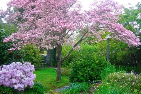 Dangal Gardens - Hotel WA 3