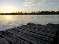 Book Urunga Accommodation Vacations Hotel WA Hotel WA