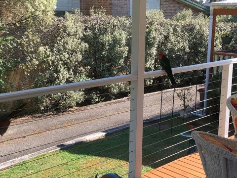 The Best Exotic Magnolia Cottage - Hotel WA 15
