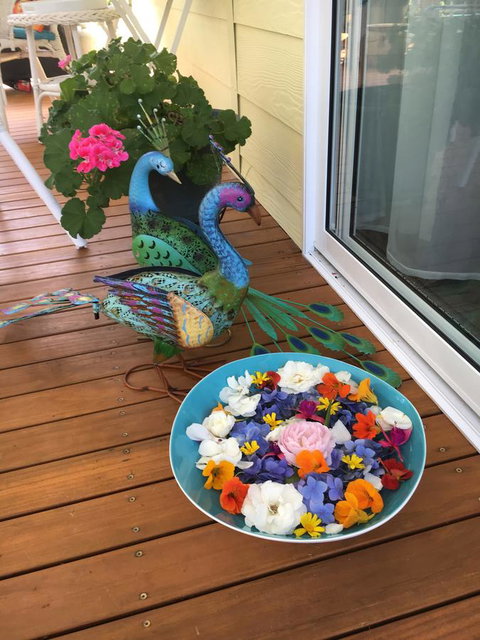 The Best Exotic Magnolia Cottage - Hotel WA 8