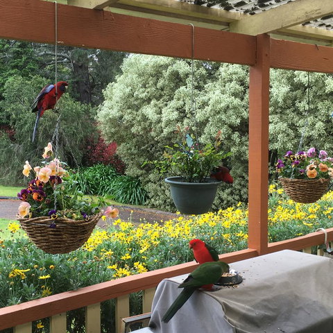 The Best Exotic Magnolia Cottage - Hotel WA 33
