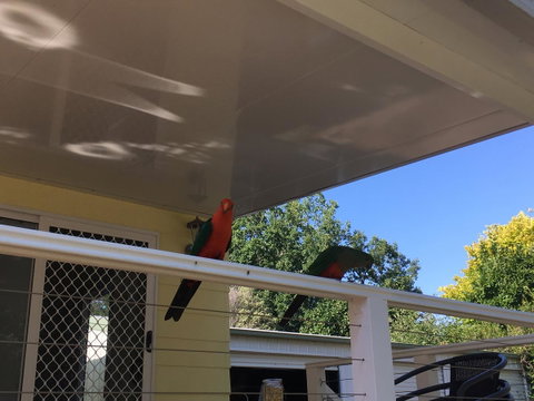 The Best Exotic Magnolia Cottage - Hotel WA 11