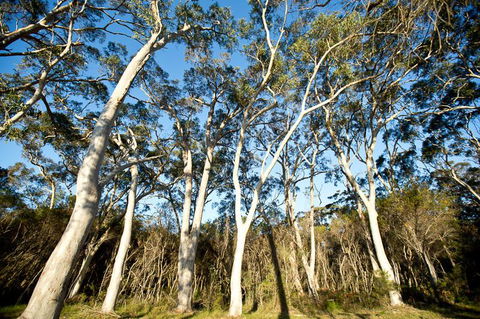 Bush & Bay Cottage - Hotel WA 28