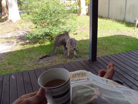 Bush & Bay Cottage - Hotel WA 29