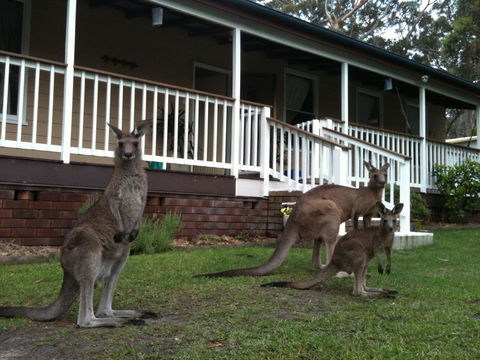 Bush & Bay Cottage - Hotel WA 30