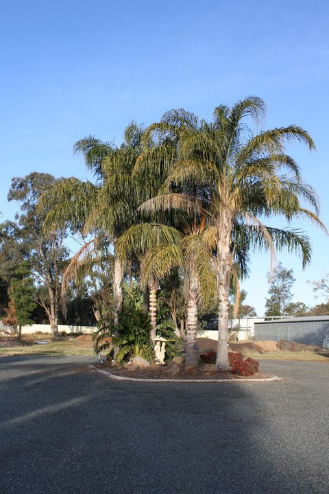 Temora Motel - Hotel WA 6
