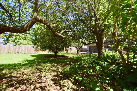 Wildlife Lodge Katoomba - Hotel WA 26