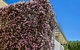 Bundanoon Lodge - thumb 13