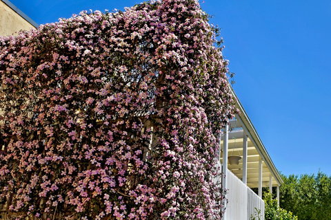 Bundanoon Lodge - Hotel WA 13