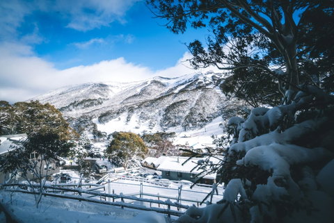 Pure Chalet Thredbo - Hotel WA 31